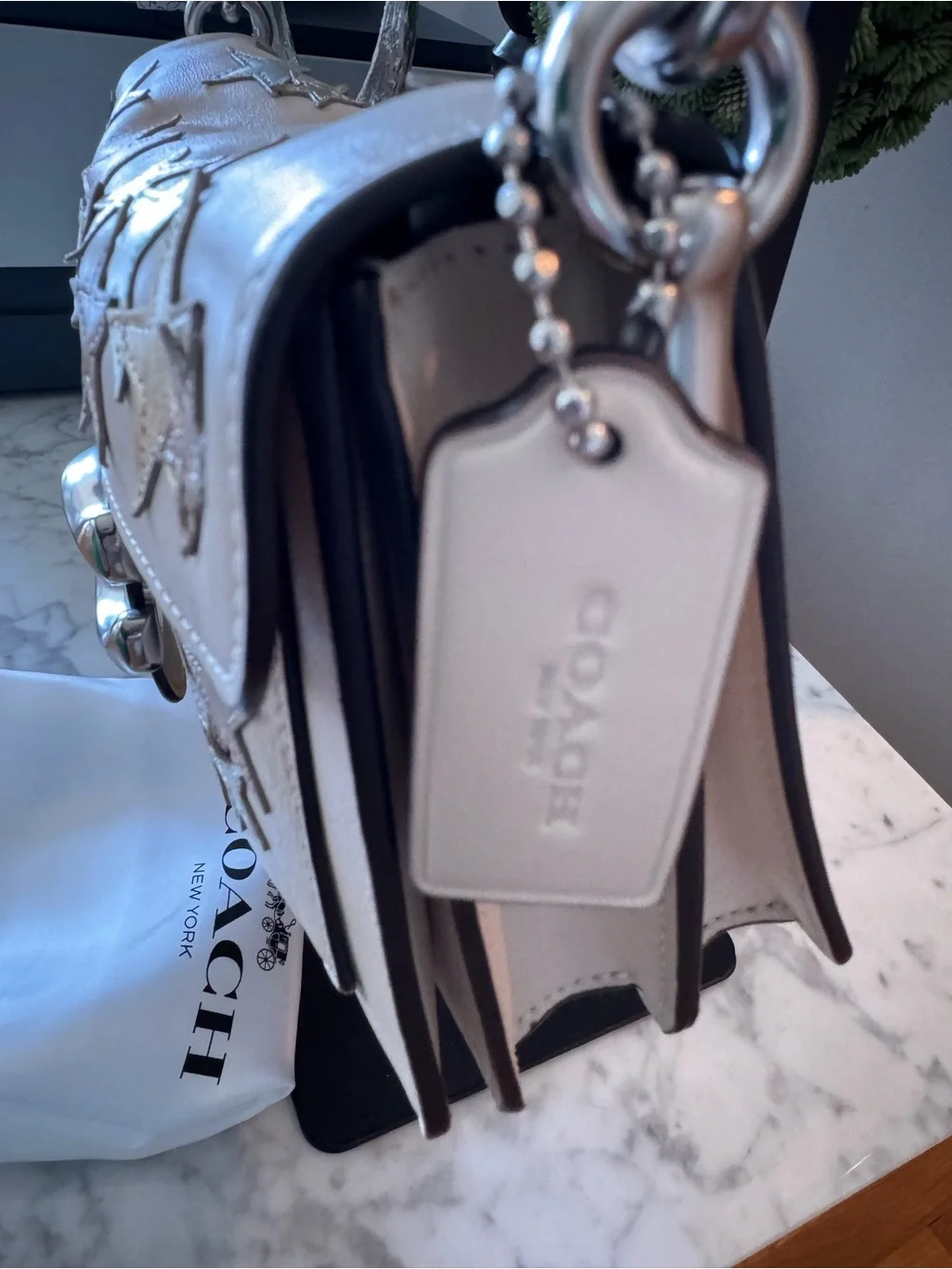Coach nwt tabby